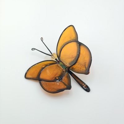 Motyl Pomarańczowy