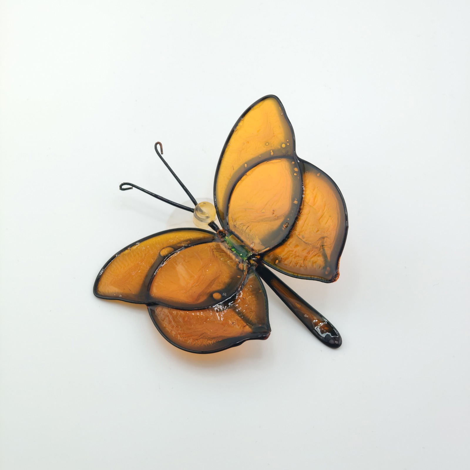 Motyl Pomarańczowy