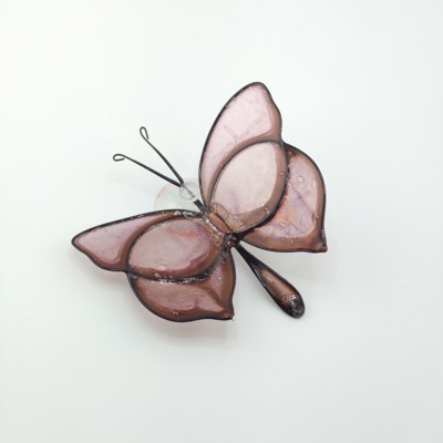 Motyl Brązowy