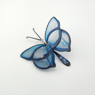 Motyl Niebieski