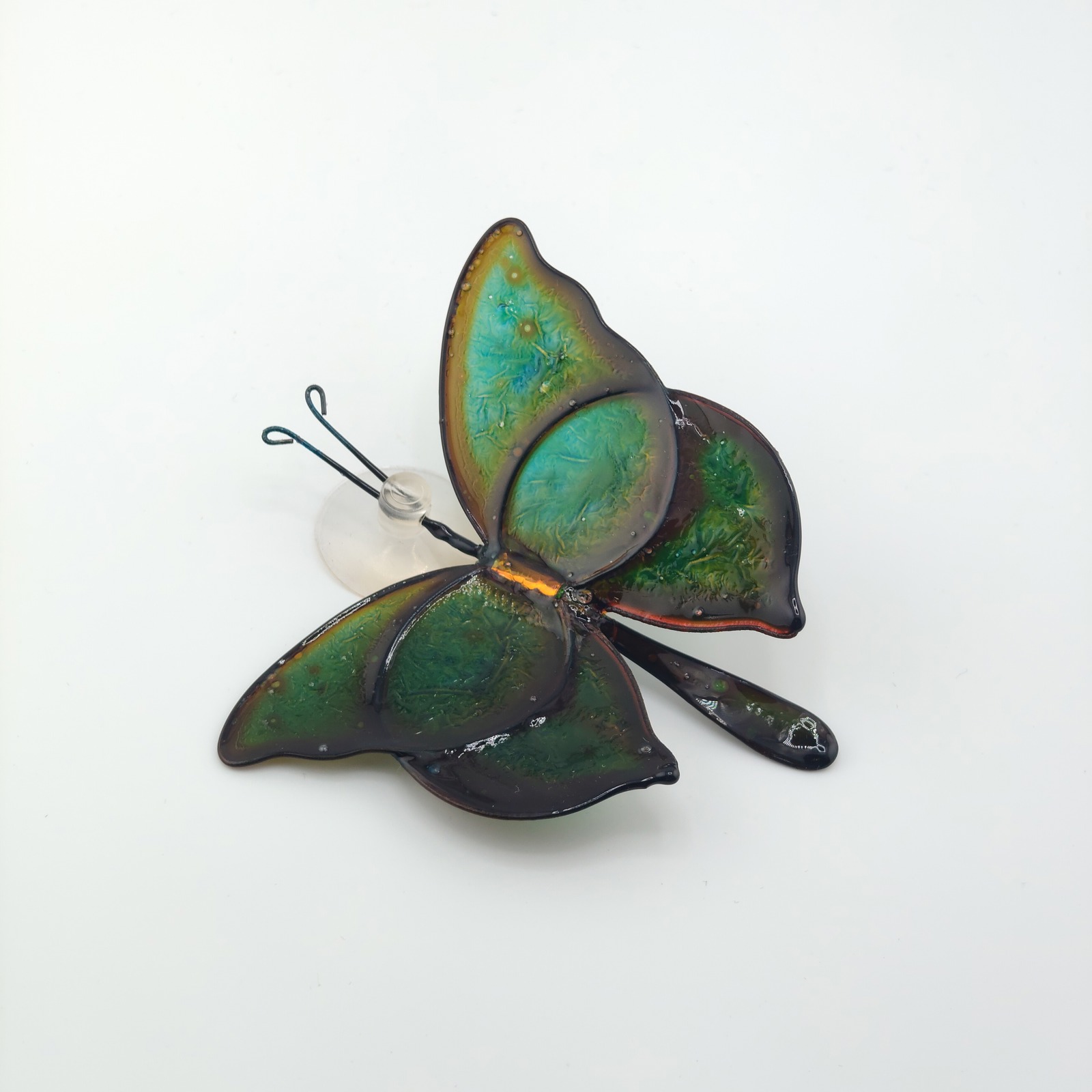 Motyl Zielony